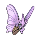 049 Venomoth icon